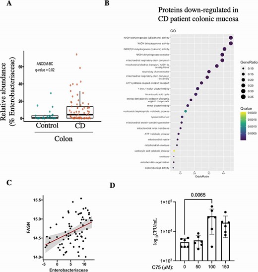 P019 Host-Enterobacteriaceae interactions and mitochondrial dysfunction in Crohn’s colitis