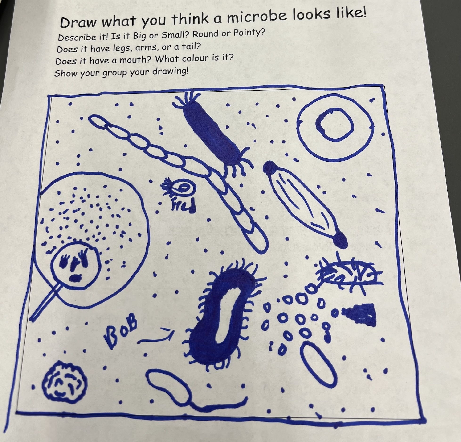 A drawing of a microbe