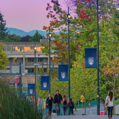 Image of the UBC campus at sunset with a walkway of students and trees and mountains in view. 