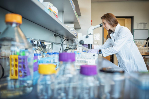 Carolina Tropini in lab