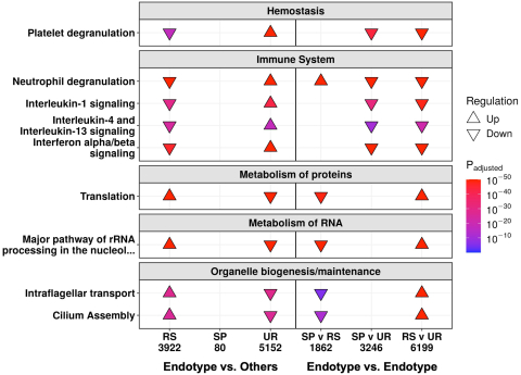 Figure 3 of Hancock Lab publication