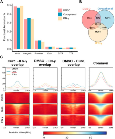 Figure 10 from Jefferies lab publication